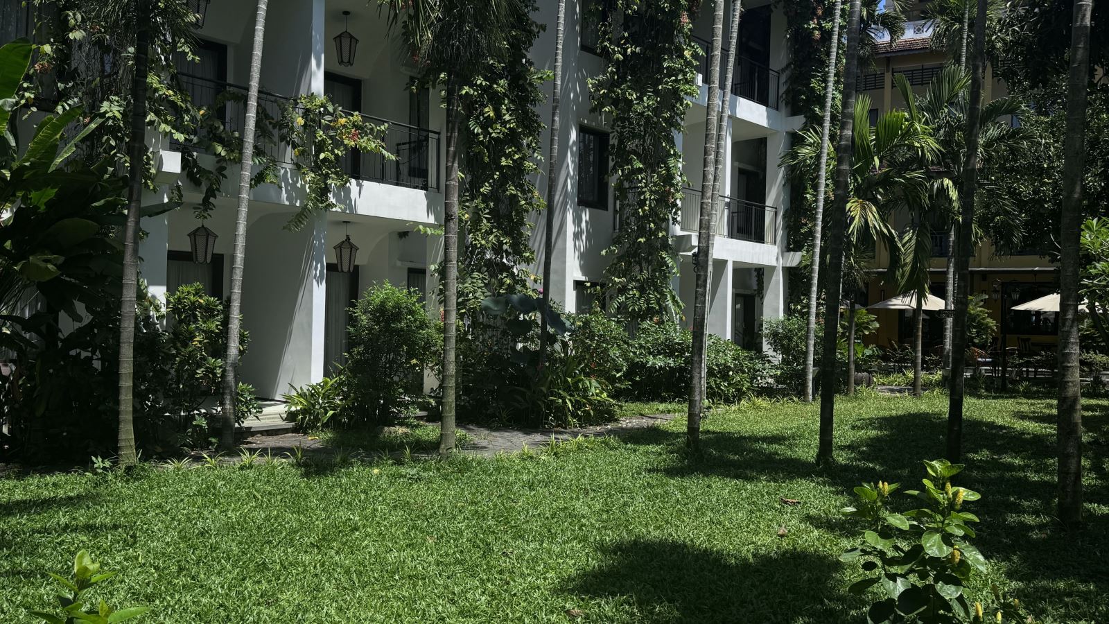 Tim Phạm at Anmira Hội An garden