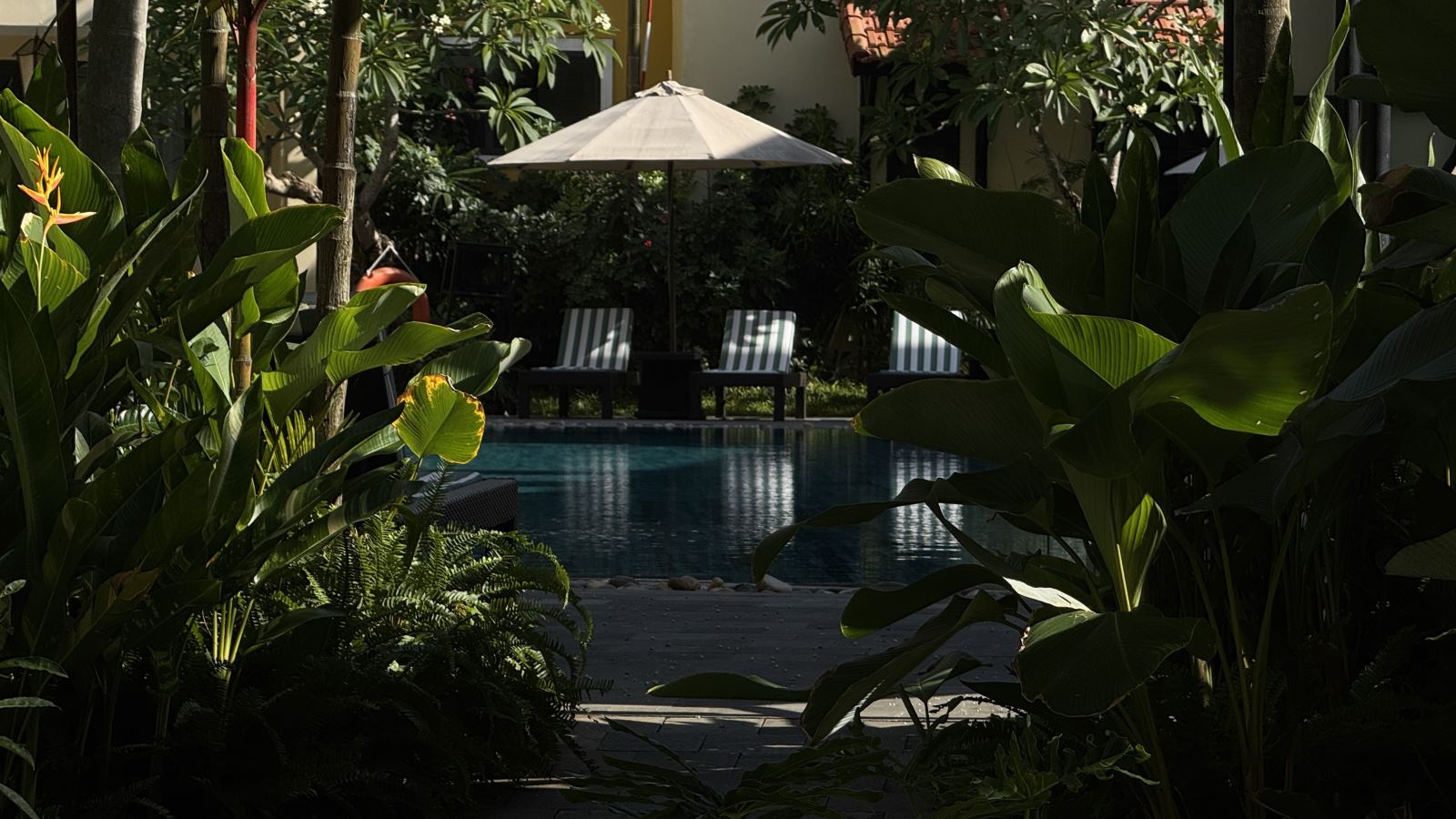 Tim Phạm at Anmira Hội An garden