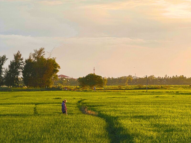  Anmira Hội An nằm bên cạnh không gian cánh đồng An Mỹ