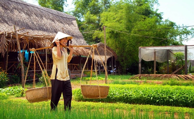 Làng rau Trà Quế tại Hội An